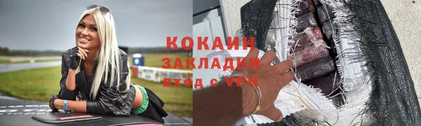 индика Арсеньев