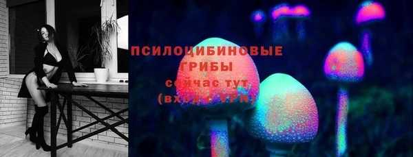 эйфоретик Аркадак