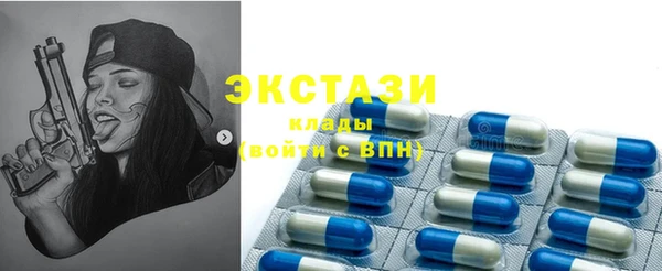 индика Арсеньев