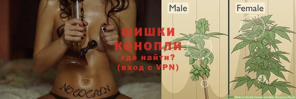индика Арсеньев