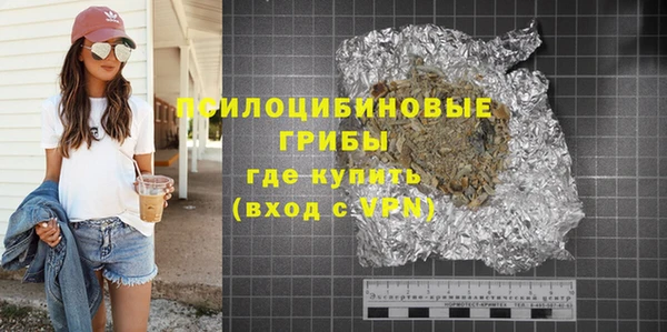 индика Арсеньев