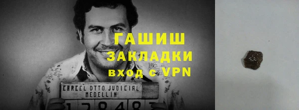 индика Арсеньев
