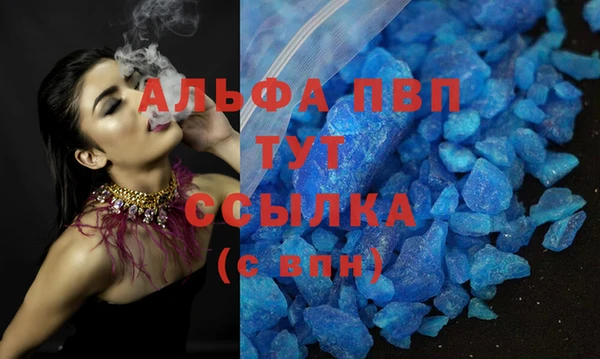 индика Арсеньев