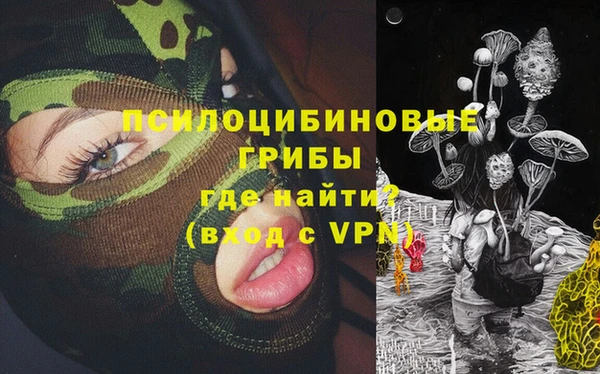 эйфоретик Аркадак