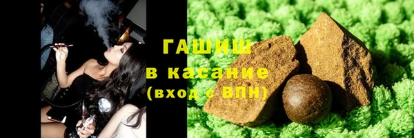 индика Арсеньев