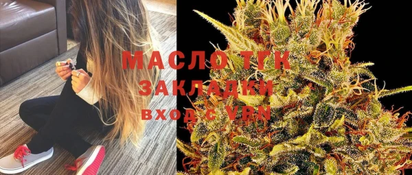 индика Арсеньев